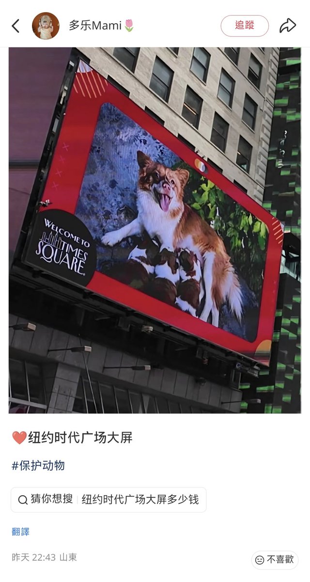 TaoLinTUAN's tweet photo. #中国広東 
#JieyangDogAbuse #AnimalCrueltyLaw https://t.co/LoyI4nl4bj