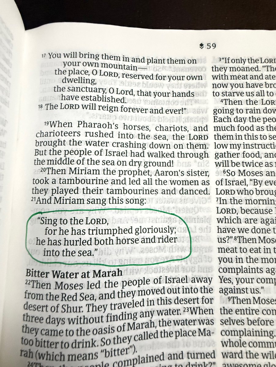 Holy Bible tweet media
