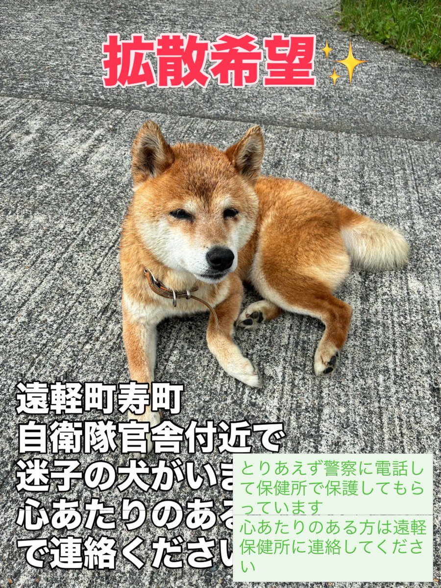 こねこ屋様♡ありがとうございます♡ ねねここ🍒 (@cats_dogs_cats) on X
