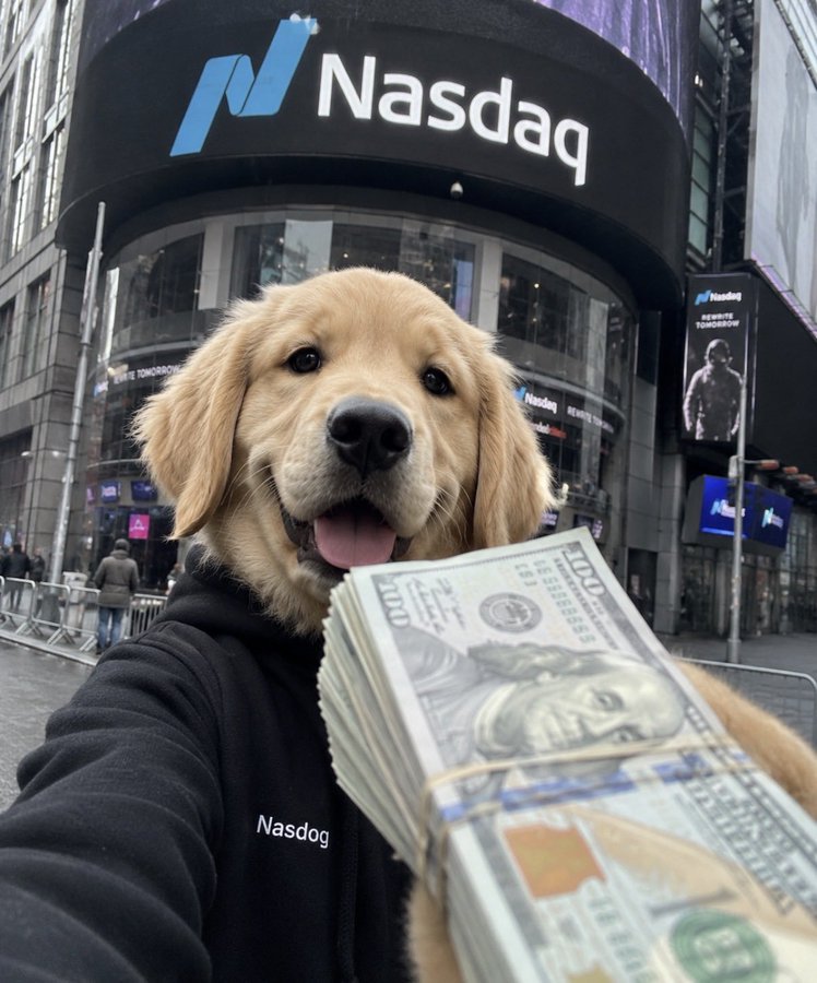 hapah2o's tweet photo. @bleshgod The return of $Nasdog is coded

https://t.co/ZdI87lPO7x https://t.co/SYHhobD9Hw