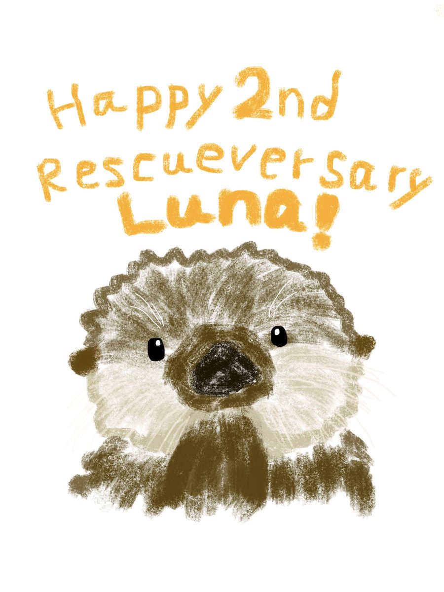 Cyekerakko's tweet photo. 2回目のHappy Rescueversary,Luna!
Lunaのpawチュパスイミング姿が可愛くてしょうがない☺️ https://t.co/Obi5zNO16R