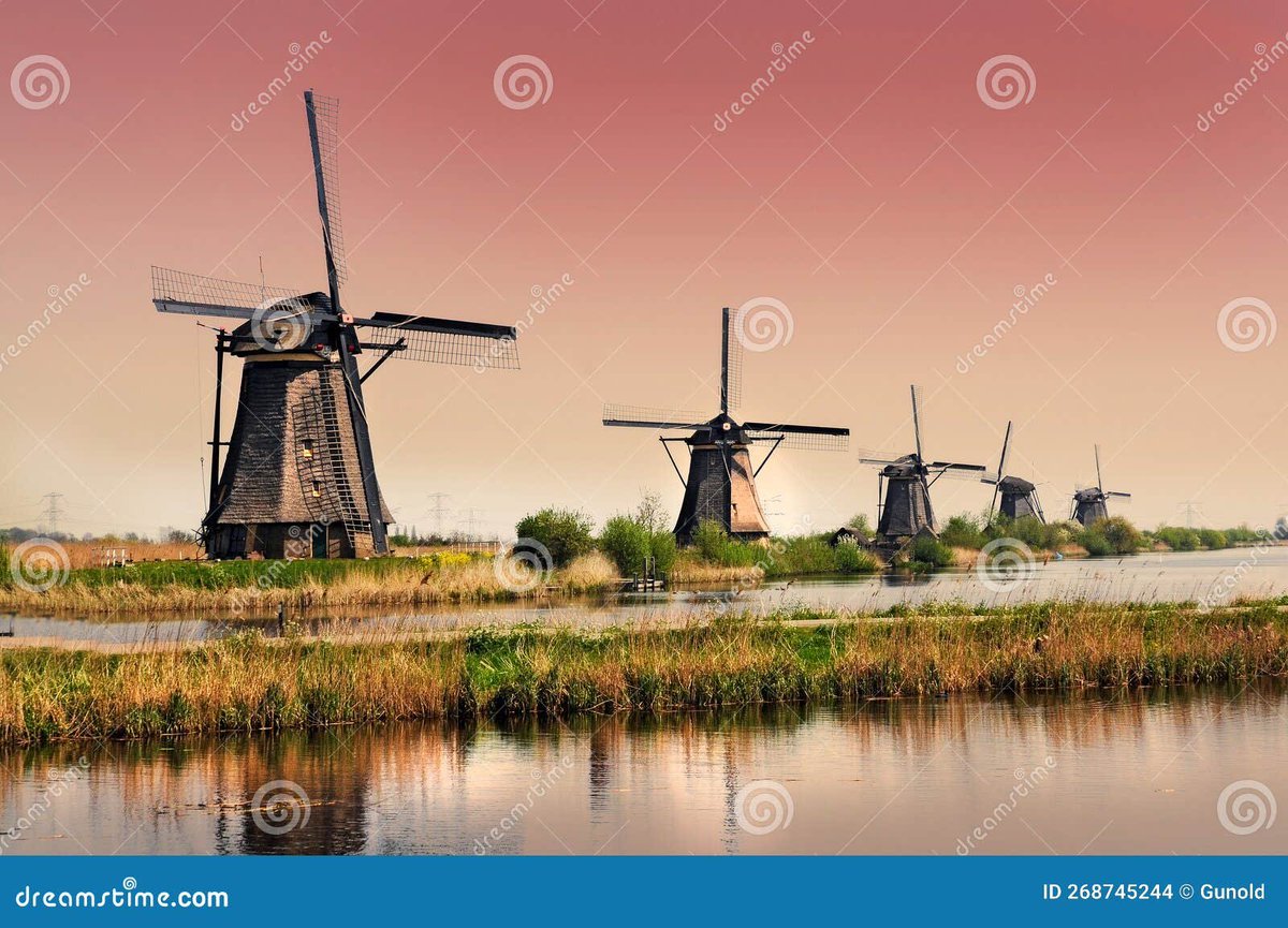 henk tweet media