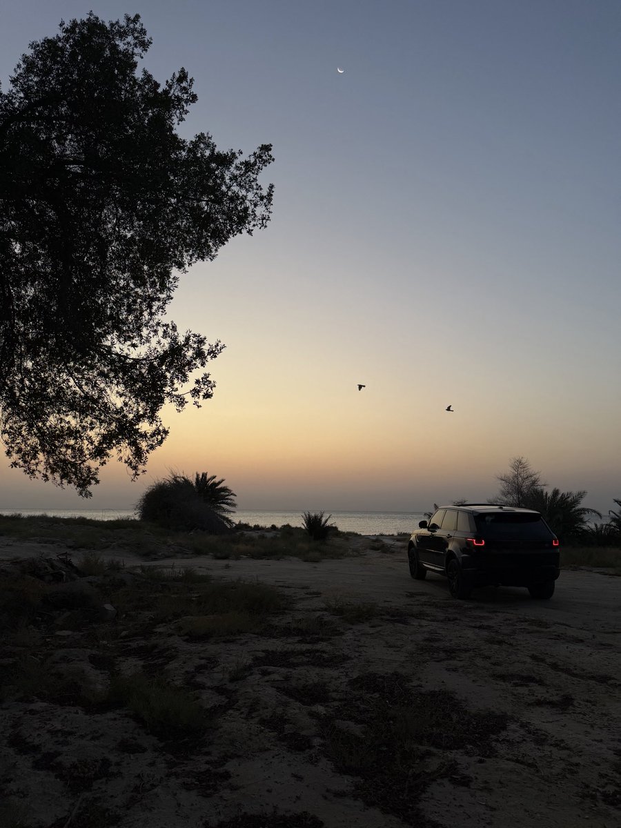 v_iij00's tweet photo. أجمل ماقيل عن ترك الحاجه 
وهي لازالت في الخاطر : 

يقول رشيد الزلامي :

عروق قلبي يالسديري معاطيش
أمشي وانا مقفي .. واعاين خلافي

وقال السديري :

برقاً يفوتك لو مزونه مراهيش
لاتستخيل امطار سحباً مقافي https://t.co/8IZk016DuY