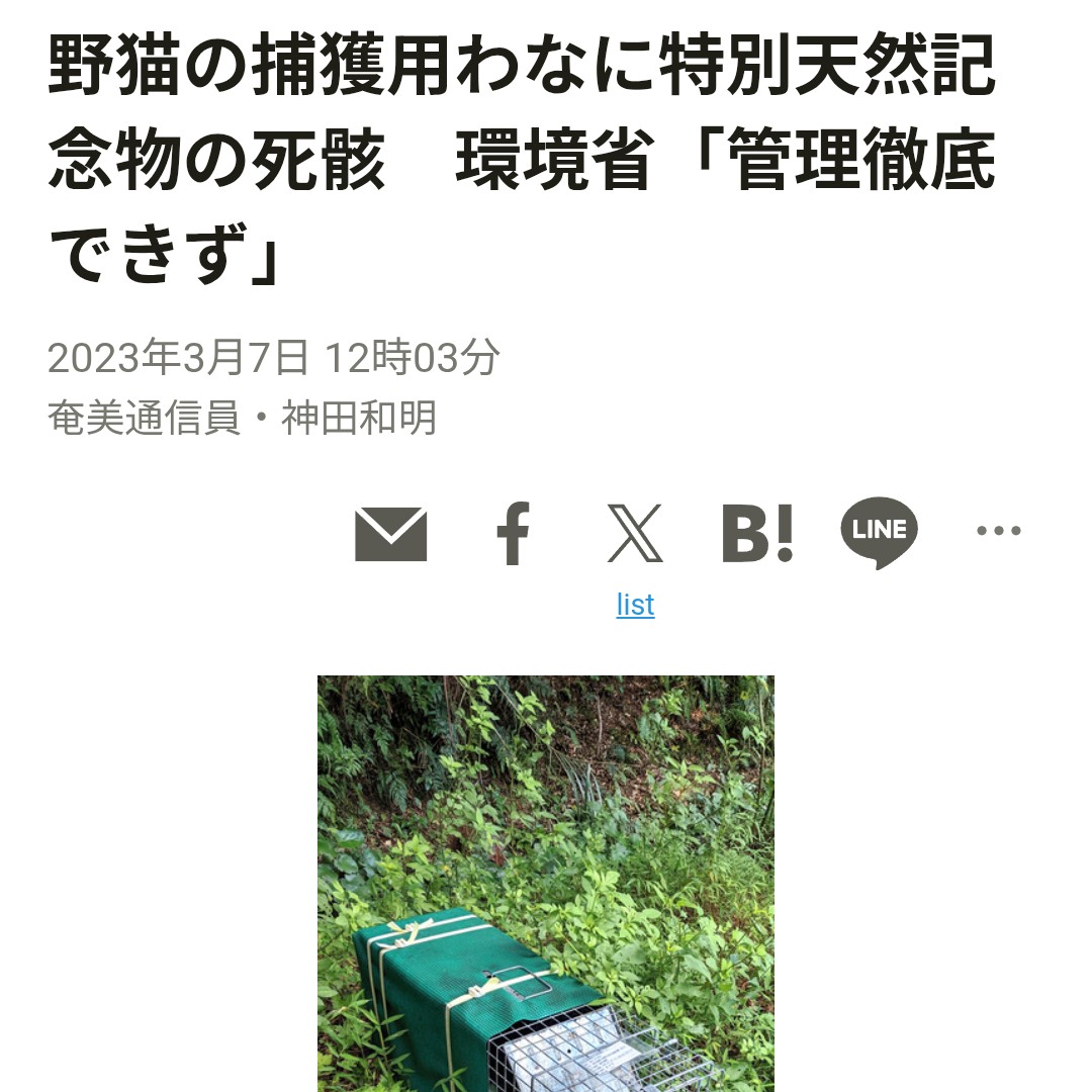 MamoruTakazawa's tweet photo. 《再拡散 希少動物を残虐に殺しているのは実は環境省》

クロウサギを激しい虐待で殺しているのは実は環境省。

環境省が丸投げしている委託業者は捕獲器を回収せずにクロウサギ達を白骨化するまで放置…あまりにも残虐。

環境省は何故、動物虐待の罪に問われないのか？

そしてこれは徳之島の住民が発見したから表沙汰になったこと。クロウサギや猫はいくらでもこうして残虐に殺されているんだろう。

クロウサギの死因は猫。そうして悪意しかない画像を使い、全て猫の責任にする。そうして環境省は利権だらけの捕獲事業を進め拡大しようとしている。

現実は、クロウサギの死因の原因のほとんど人間。ロードキル。そして環境省なんだよ。

みんなで力合わせて闘おう。奄美や沖縄は力足りずに環境省の動物虐待利権事業を許してしまった。

今度は全国の皆様で頑張れる。パワーは１００倍１０００倍。多分それ以上だよ。