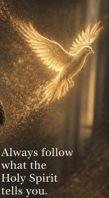 kmlongva's tweet photo. Trust GOD!
The cross is the place, and JESUS is the answer! https://t.co/rJxHhdDEOy