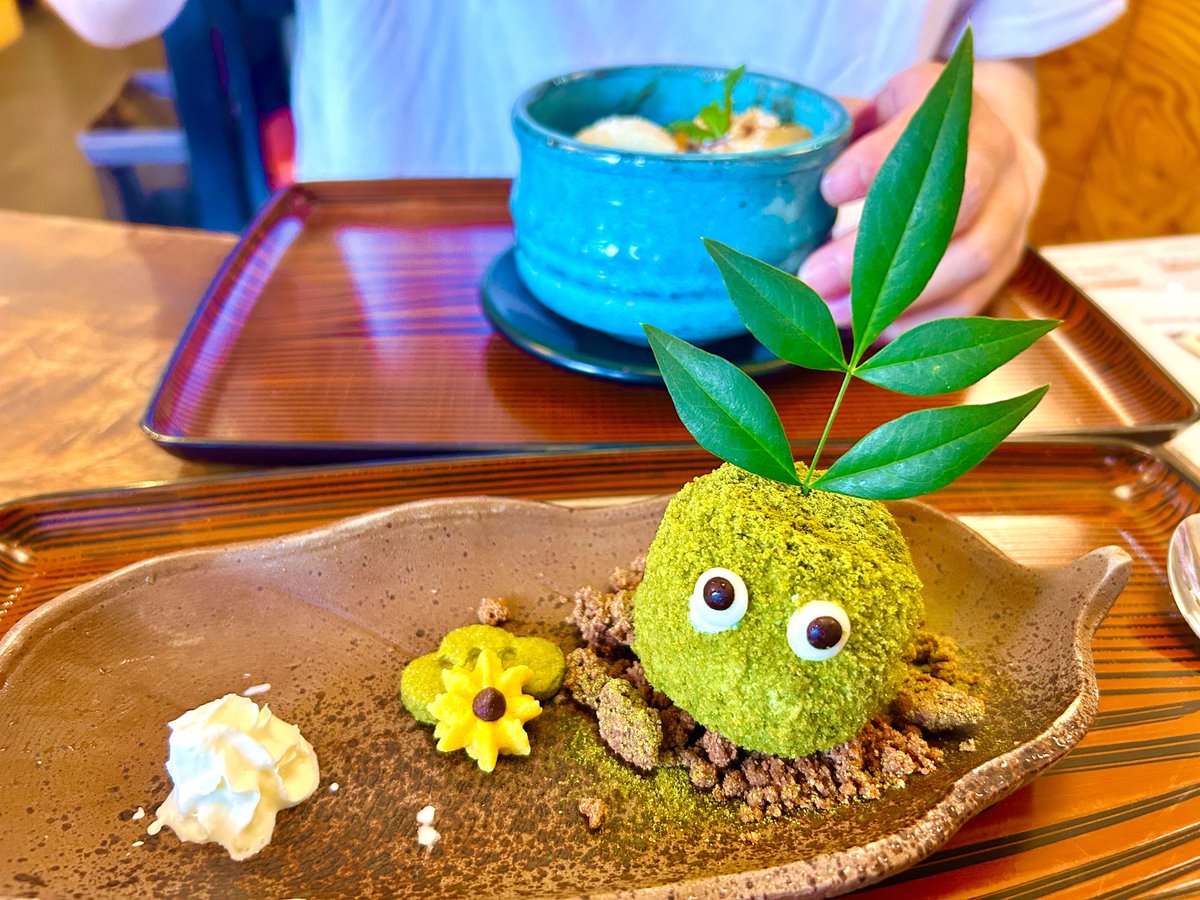 supikatan_3's tweet photo. 月曜日のお昼休み😊☕️☀️✨
週末は盆栽美術館に遊びに行って日本文化の侘び寂びを堪能してきました🌸🌳樹齢100年〜1000年以上の盆栽が幾つも展示されていて何世代もの時を人の手を渡って残された歴史の深さと美しさに感動する素敵な作品が沢山鑑賞できた楽しい1日でした🌻 https://t.co/BYvamyfXNC