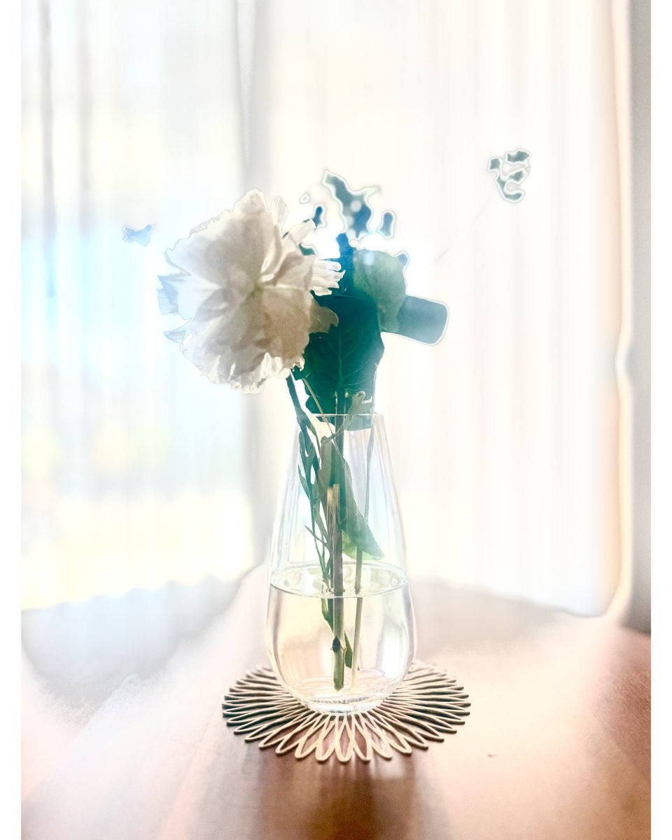 creamne's tweet photo. 《Flashback ＃20250508》より、
露出調整の推移を示す4枚の写真を投稿。

第3・5・7段階の静止画と、第1段階と第10段階の比較も。

記録が“再構成された記憶”へと変わる過程です。

https://t.co/GAmpCYYMGN https://t.co/QXJtNWobLu