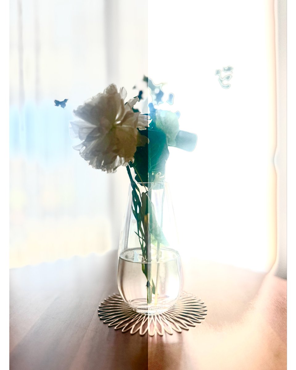 creamne's tweet photo. 《Flashback ＃20250508》より、
露出調整の推移を示す4枚の写真を投稿。

第3・5・7段階の静止画と、第1段階と第10段階の比較も。

記録が“再構成された記憶”へと変わる過程です。

https://t.co/GAmpCYYMGN https://t.co/QXJtNWobLu