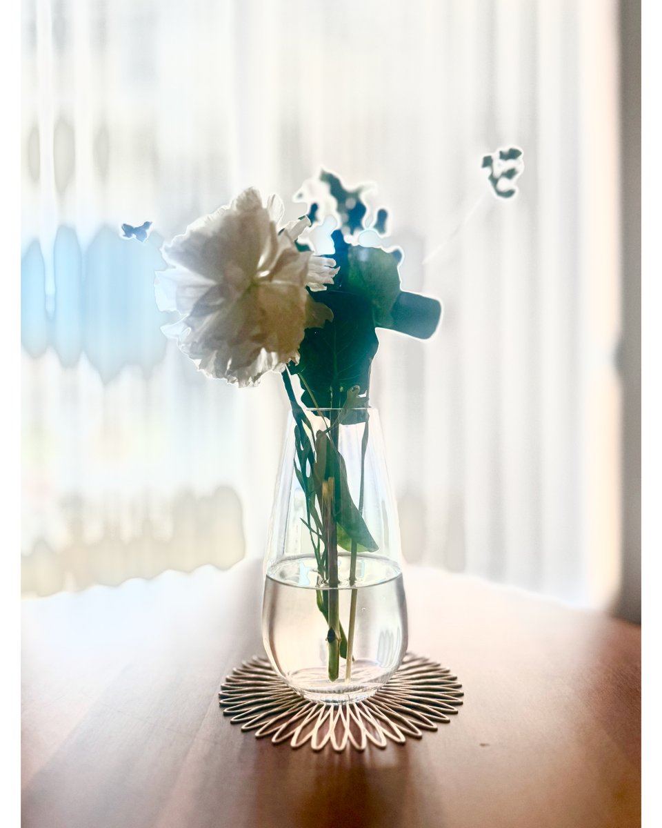 creamne's tweet photo. 《Flashback ＃20250508》より、
露出調整の推移を示す4枚の写真を投稿。

第3・5・7段階の静止画と、第1段階と第10段階の比較も。

記録が“再構成された記憶”へと変わる過程です。

https://t.co/GAmpCYYMGN https://t.co/QXJtNWobLu