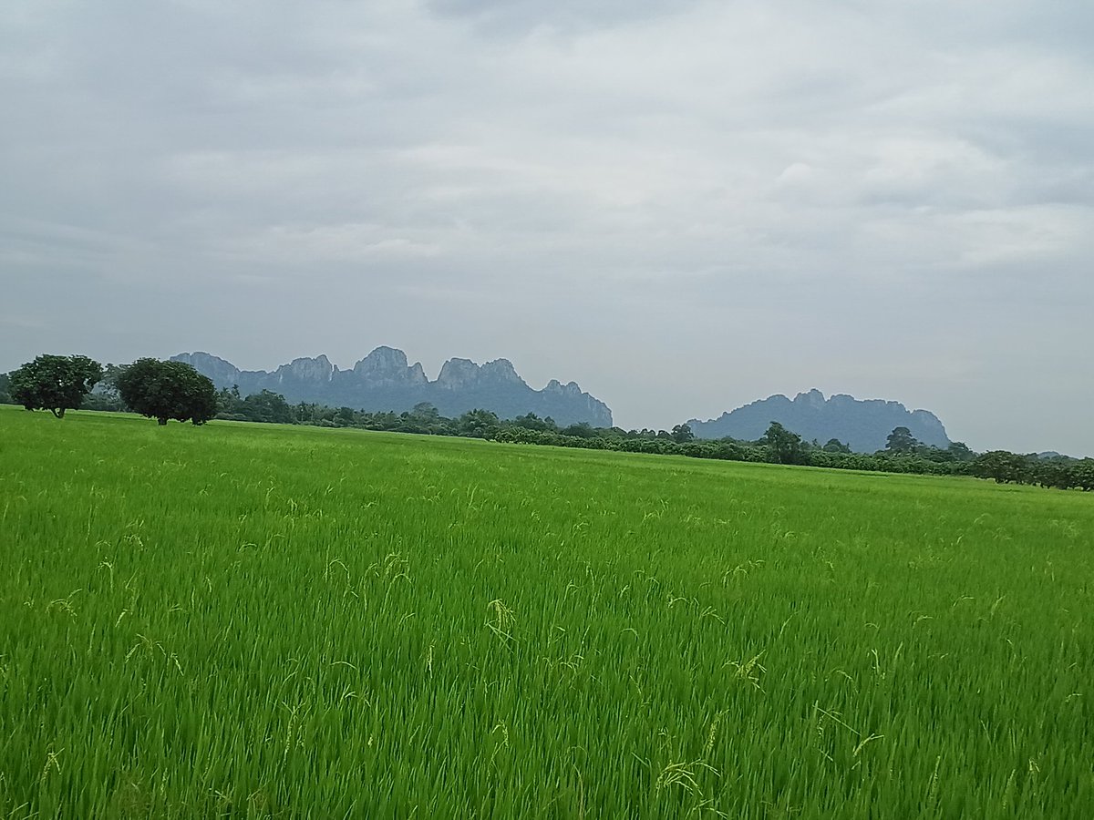 Nu85Mr's tweet photo. บรรยากาศมันได้
#บรรพตพิสัย https://t.co/fn6G8W6R3m