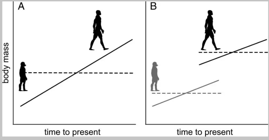CRCpaleos's tweet photo. EVOLUCIÓN HUMANA
El mayor incremento del tamaño corporal no se produjo de forma gradual a lo largo de millones de años, sino durante una etapa muy concreta de la evolución del género Homo

📰https://t.co/EEEfEQyxCt
vía @muyinteresante
#Paleoantropologia #Evolucion #Homininos https://t.co/jhnASX1JgV