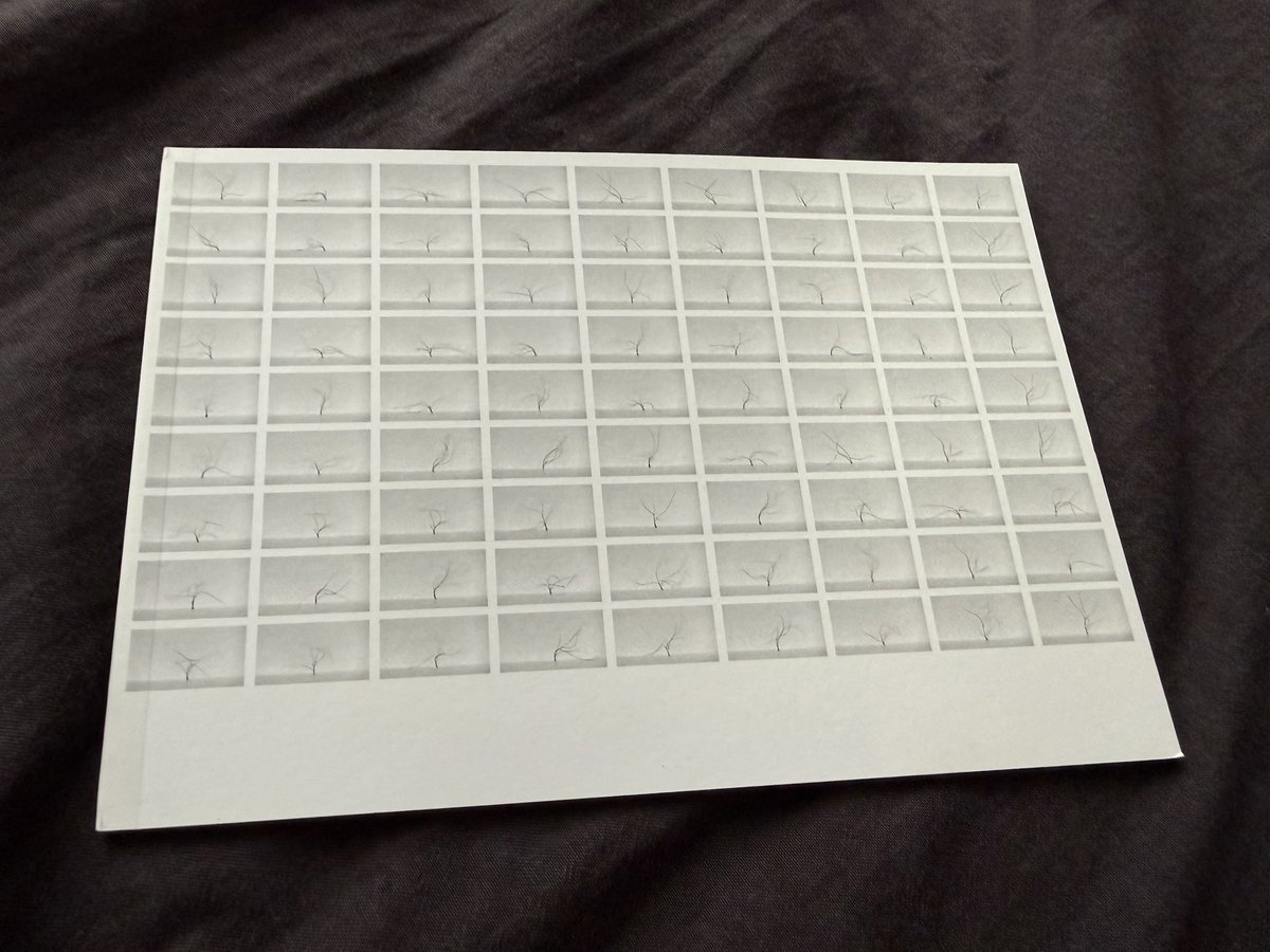 uzunzn's tweet photo. タイトルとジャケ写の通り、Zimounがギターで色々やっちゃったって作品。一聴するとギターの原形が無く、徐々に姿を変えていく繊細なドローン。Room40からのリリースで、Lawrence Englishとの対談ブックレット付き。データ版は約3時間の収録。

Zimoun / Guitar Studies I-III
https://t.co/3X4KYc6YTd https://t.co/PEoCWkLXup