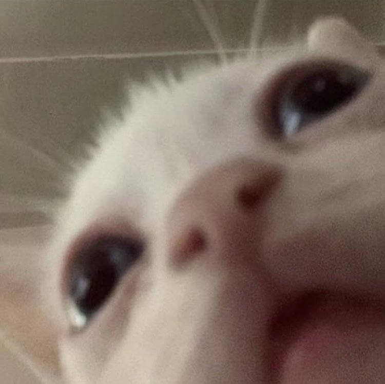Kira tweet media