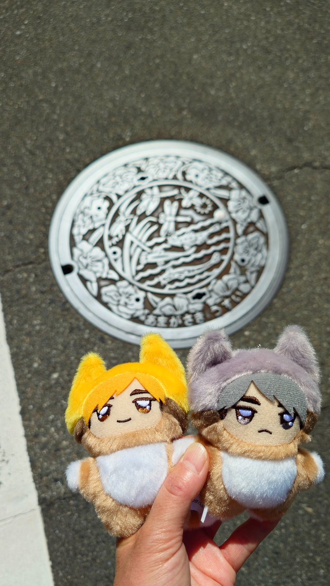 blackstone0704's tweet photo. トンボ柄のマンホールも見てきました。 https://t.co/yQXZFlqYr4
