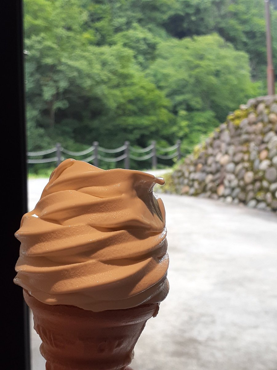 zephe8's tweet photo. トンネル出口でソフトクリーム。2階の足湯には時間が足りず残念。ちなみに渓谷を望む貸切露天風呂(使用中)があったのがめっちゃうらやまでした。
越後湯沢の駅に戻って、お土産買って、地鶏の親子丼食べて、帰宅します。
尚、乗車と同時に同行者と喧嘩した(座席の取り方)のも、まあ、思い出で😓 https://t.co/hwLh73DGC5