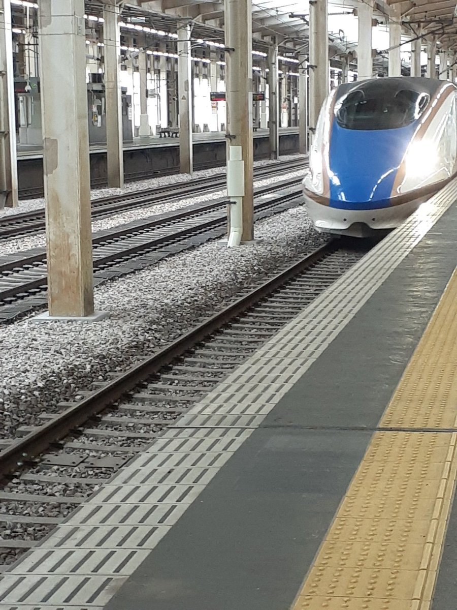 zephe8's tweet photo. トンネル出口でソフトクリーム。2階の足湯には時間が足りず残念。ちなみに渓谷を望む貸切露天風呂(使用中)があったのがめっちゃうらやまでした。
越後湯沢の駅に戻って、お土産買って、地鶏の親子丼食べて、帰宅します。
尚、乗車と同時に同行者と喧嘩した(座席の取り方)のも、まあ、思い出で😓 https://t.co/hwLh73DGC5
