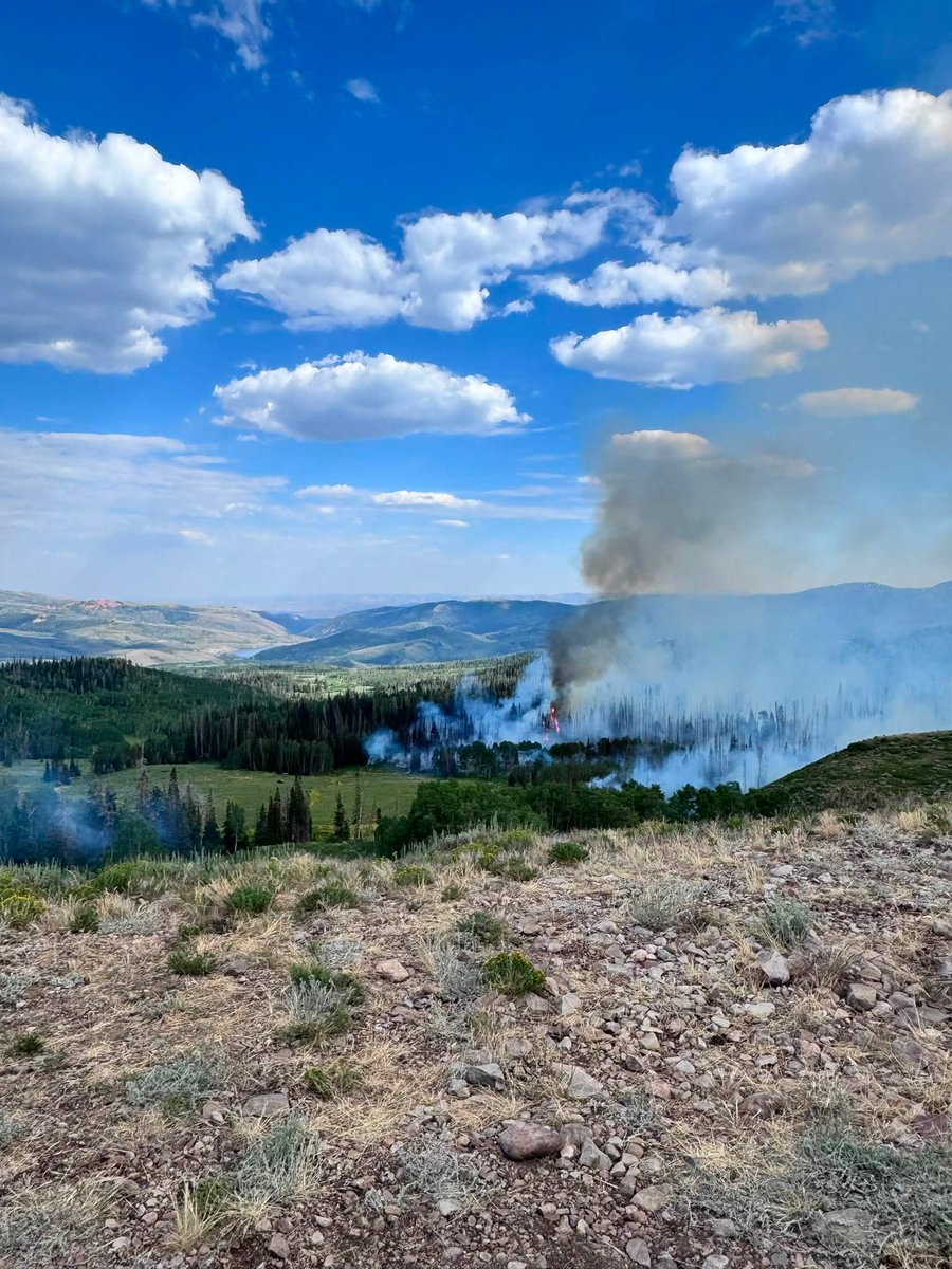 UtahWildfire's tweet photo. #BuckBasinFire on the Heber-Kamas Ranger District is located approximately 4 to 5 miles northwest of Currant Creek Reservoir, east side of the Currant Creek Road FS083 and south of Red Mtn Road FS080. Fire is approximately 61 acres in patches of timber. Resources on scene: two engines, one Type 3 and one type 1 helicopters, one single engine air tanker (SEAT). One 20 person hand crew has been ordered. Cause: lightning. At this time, there are no reported threats to structures or communities. Smoke is visible from Highway 40 and 35 and surrounding areas please do not report. #buckbasinfire