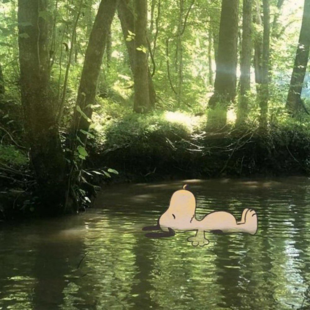 froggie 🏳️‍⚧️ tweet media