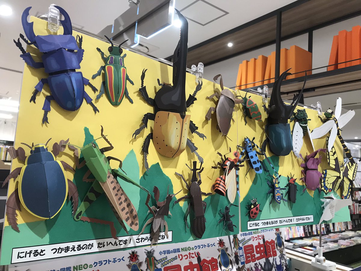 大人気図鑑シリーズNEOの「クラフトブック」です🐝💕 のりもはさみも