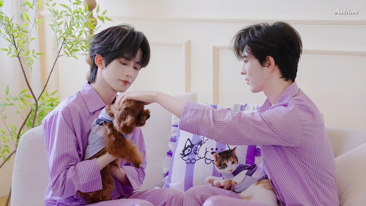 andrieea_'s tweet photo. A happy family, where they support and love each other, creates an atmosphere full of warmth and joy 💜

PET COMFORT WITH XINGQIU
#XINGQIUforPLUGINPET
#XingQiu #星邱 https://t.co/WKm6tiqrjJ