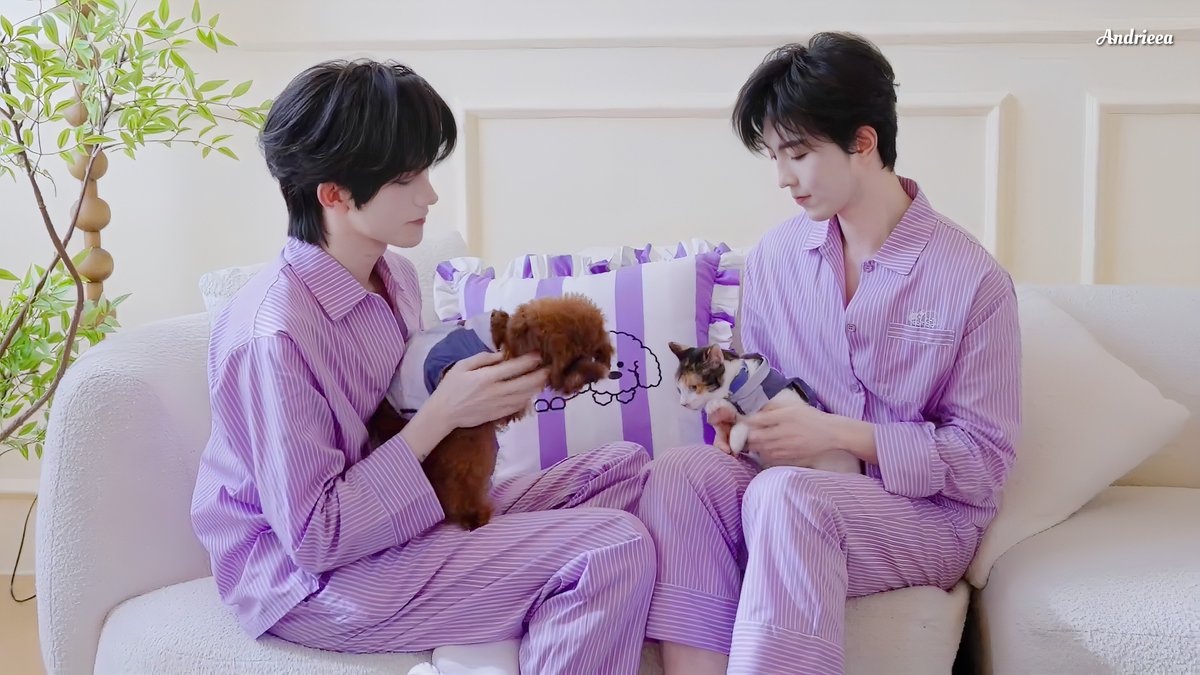 andrieea_'s tweet photo. A happy family, where they support and love each other, creates an atmosphere full of warmth and joy 💜

PET COMFORT WITH XINGQIU
#XINGQIUforPLUGINPET
#XingQiu #星邱 https://t.co/WKm6tiqrjJ