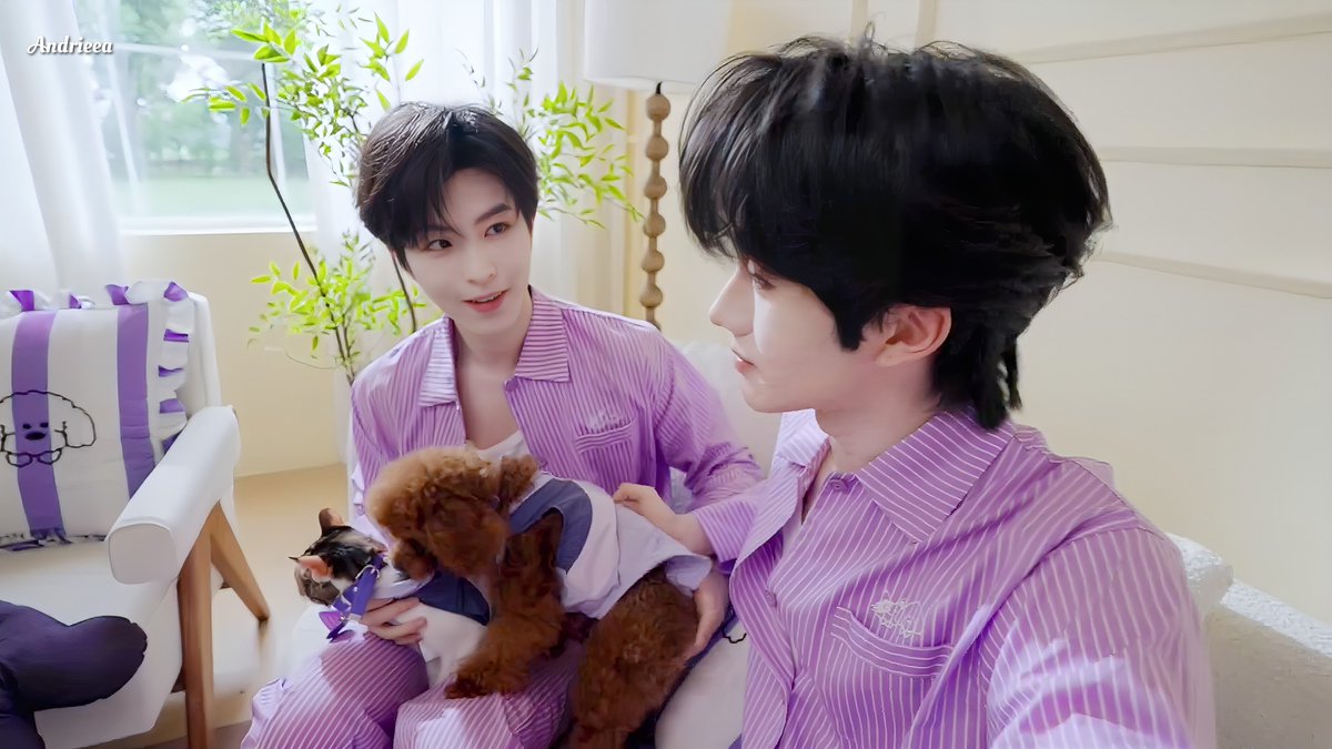 andrieea_'s tweet photo. A happy family, where they support and love each other, creates an atmosphere full of warmth and joy 💜

PET COMFORT WITH XINGQIU
#XINGQIUforPLUGINPET
#XingQiu #星邱 https://t.co/WKm6tiqrjJ