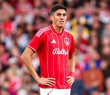 Forest Transfer Hub tweet media