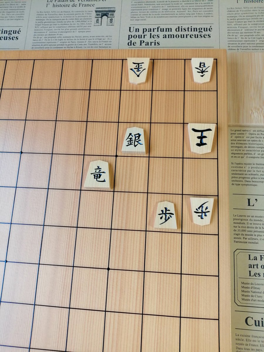 cocoro_mizu's tweet photo. おはようございます
第691問　3手詰です
持ち駒　攻方　なし
　　　　王方　画面以外残り全部を合駒で使えます
13時に解答をいたします https://t.co/nSRaWevwxv