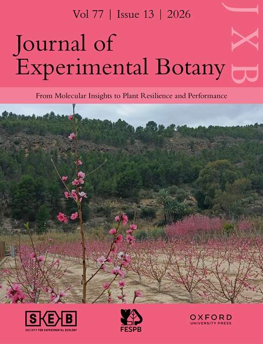 MonicaBalsera's tweet photo. Our new publication, “Multiscale strategies to enhance plant resilience under climate change”, is now out in @JXBot 

Great work with @ajserrato and @juanmperezruiz, and thanks to the @PlantRedox network. 

Read it here 👇
 https://t.co/RYmfdJSMW1 https://t.co/MXl50UPO6B