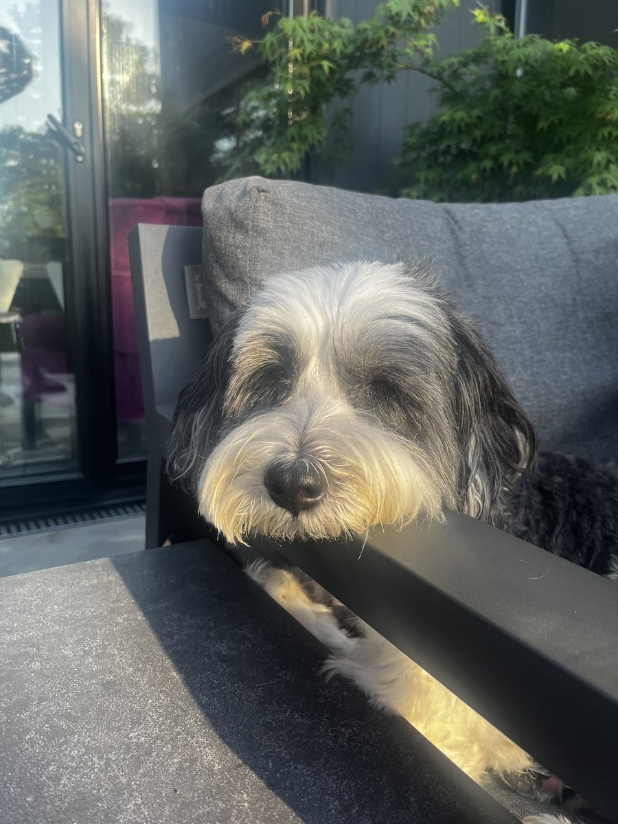 richard81242885's tweet photo. @georgekay morning George gave up work so  not had you on as normally in bed , up early today walking dog Clarence nice to hear ya.. have a great week soul people https://t.co/pFLo8xxEPU