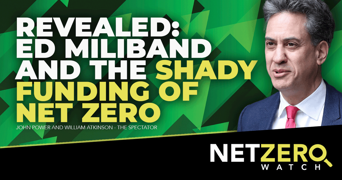 Net Zero Watch tweet media