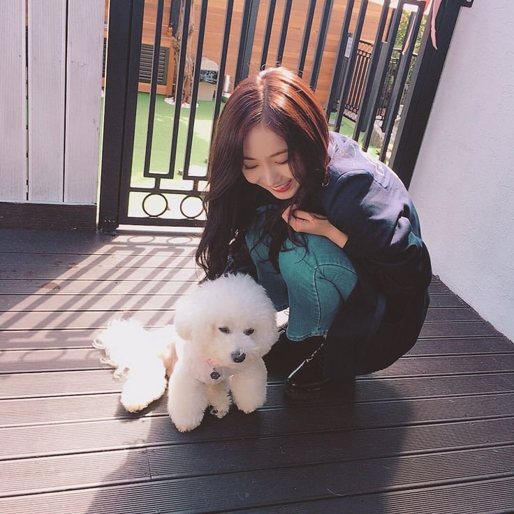 sbt2me's tweet photo. 그냥이정도면
여친짤이라는 명칭대신 신비라는명칭을
써야하는 수준임

" 신비처럼 나왔어요? "
" 어머이거완전 신비다"
이렇게 https://t.co/QItEQZAsWi