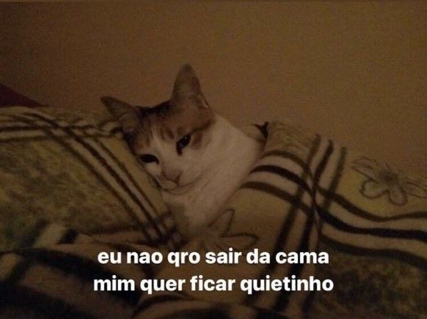 odeiootaco's tweet photo. segunda fera https://t.co/XaV4j9CEej