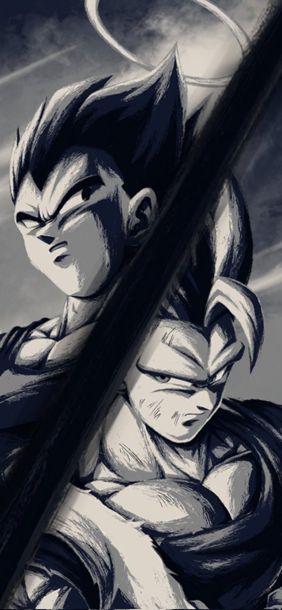 0083tanama's tweet photo. 出たよ
四回目の無料時にお迎え
＃ドラゴンボールレジェンズ https://t.co/zn2LqQlgwF