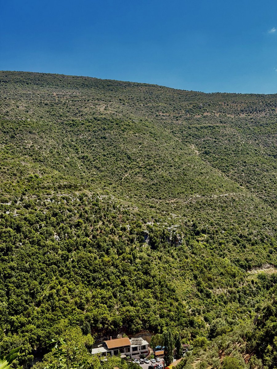 Leodemon12's tweet photo. مافي أحلى منك يبلآدي 🇸🇾🇸🇾
#syr #nature https://t.co/stNVrKjTUe