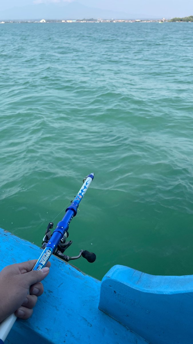 superrsub12's tweet photo. holly(shit)day 🏖️ https://t.co/p1MDf6AJEm
