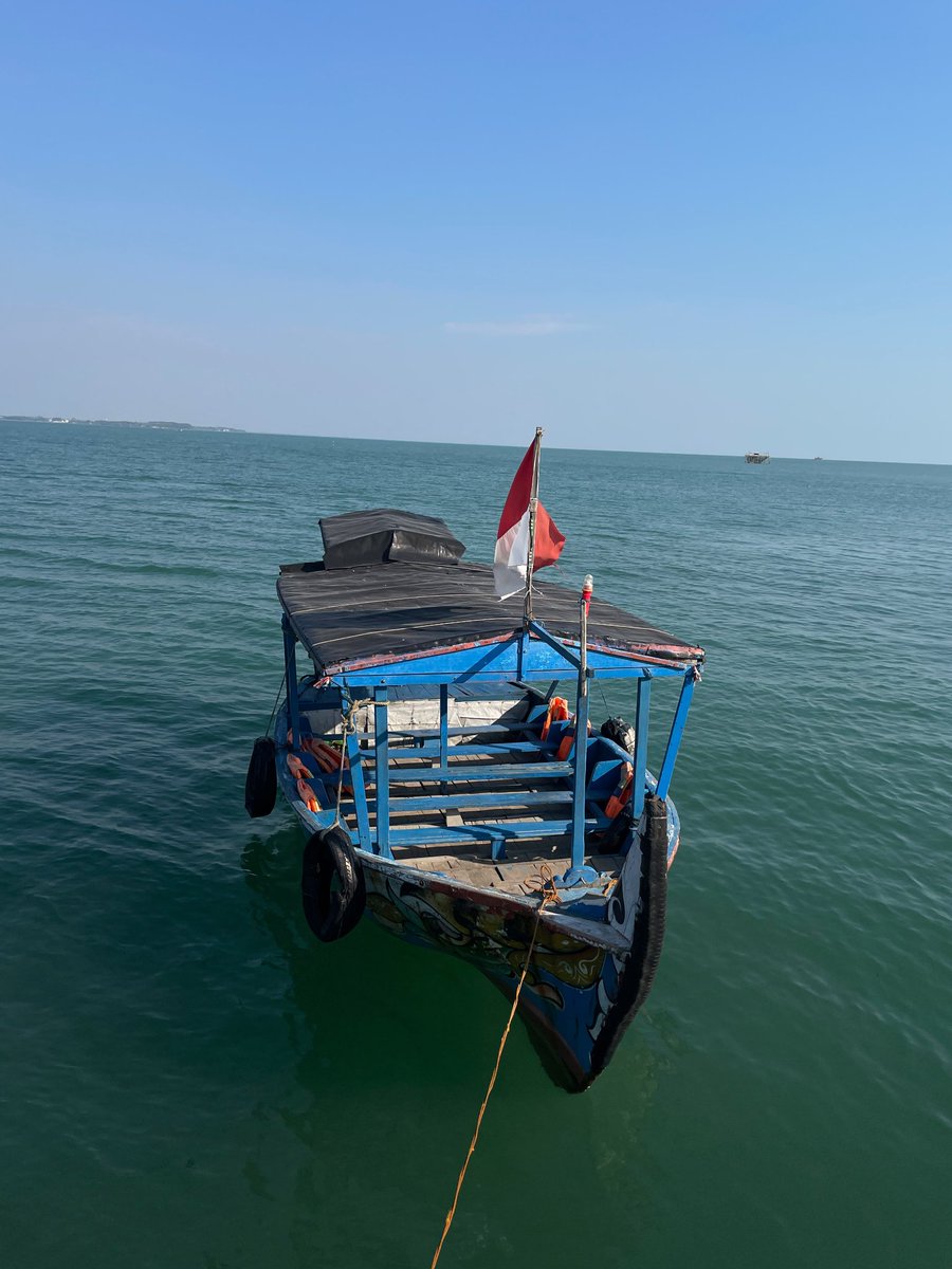 superrsub12's tweet photo. holly(shit)day 🏖️ https://t.co/p1MDf6AJEm