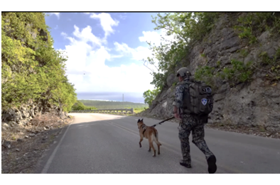 jasdf_iruma's tweet photo. 入間基地所属の警備犬トレーナー志賀２曹及びジャスミン号は、グアムで開催された米国主催警備競技会の軍用犬部門に、日本代表として出場し、見事３位という快挙を成し遂げました！本競技会は、世界各国に駐在する米空軍のトップオブトップが集う世界レベルの競技会であります！ #入間基地 #警備犬 #K9 https://t.co/4gGLjdLC8n