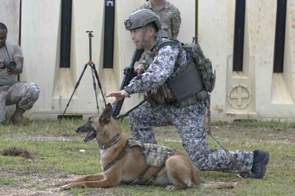 jasdf_iruma's tweet photo. 入間基地所属の警備犬トレーナー志賀２曹及びジャスミン号は、グアムで開催された米国主催警備競技会の軍用犬部門に、日本代表として出場し、見事３位という快挙を成し遂げました！本競技会は、世界各国に駐在する米空軍のトップオブトップが集う世界レベルの競技会であります！ #入間基地 #警備犬 #K9 https://t.co/4gGLjdLC8n