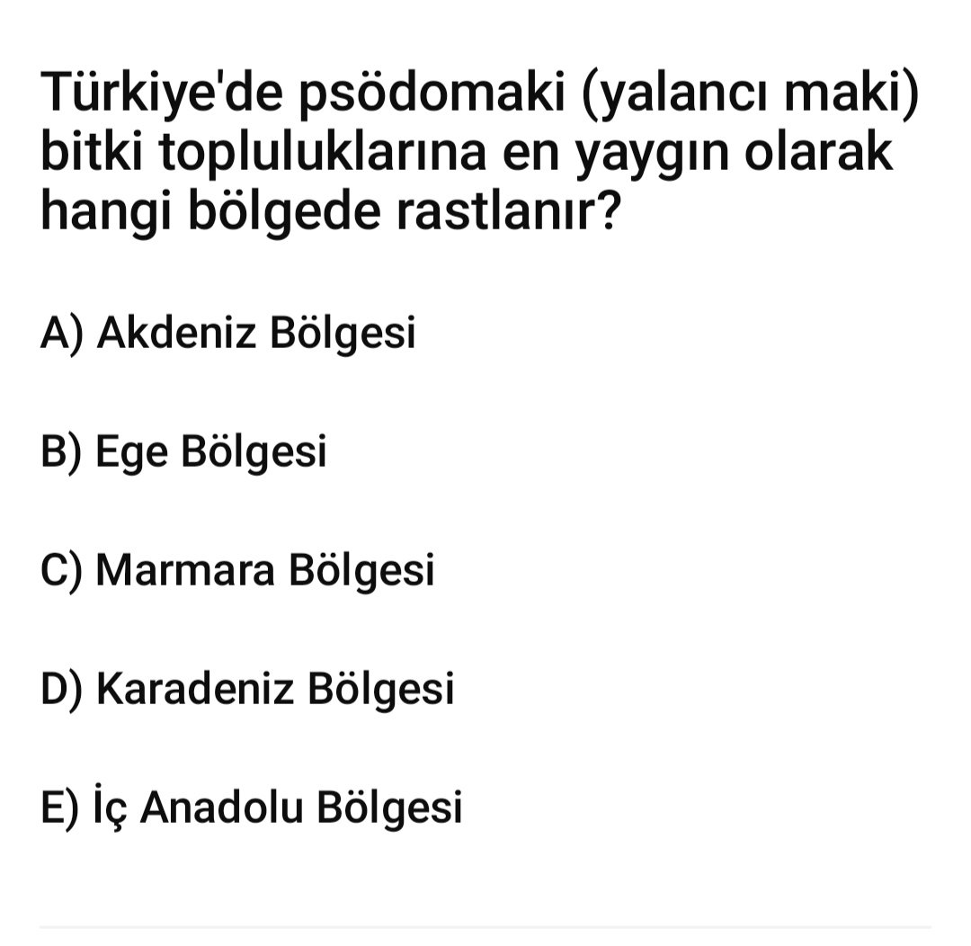 SORU - CEVAP tweet media