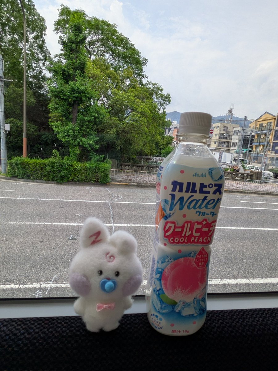 g_mer7's tweet photo. 帰りまーす！
バイバイ神戸👋 https://t.co/Bb8cVdq3CG