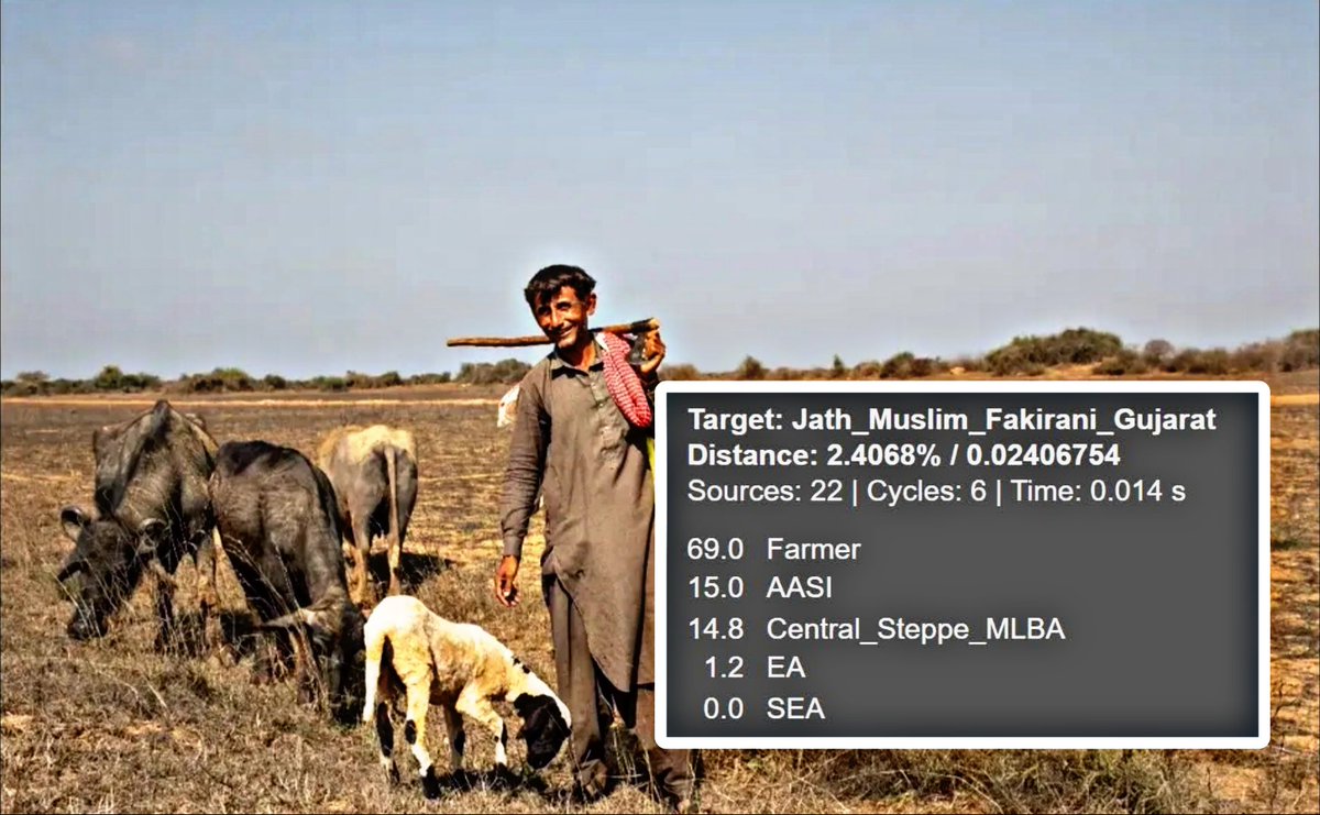 LuvRabari's tweet photo. Fakirani Jath are a nomadic pastoral tribe from Kutch known for herding Kharai camels. They speak Kutchi, follow Sunni Islam, and have lowest AASI in Indo aryan belt
 
one of my favorite tribes and the
real-life brothers of the Rabaris
 🐪❤️ https://t.co/0HKilpDsL2