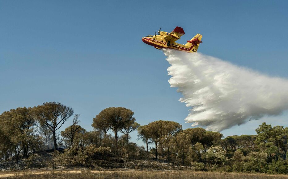 nicolasberrod's tweet photo. 🔥❗️ 𝗗𝗲𝘂𝘅 𝗖𝗮𝗻𝗮𝗱𝗮𝗶𝗿 sont déployés sur l'impressionnant feu de forêt de #Fontainebleau, en plus des 𝗱𝗲𝘂𝘅 𝗮𝘃𝗶𝗼𝗻𝘀 𝗗𝗮𝘀𝗵 et des deux hélicoptères bombardiers d'eau, annonce la préfecture ce matin.

C'est inédit, si près de Paris. https://t.co/Wyvmh0oNJi