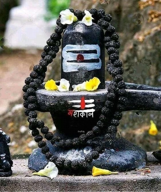 बाबु बगथलिया हिन्दू (राष्ट्र प्रेमी) tweet media
