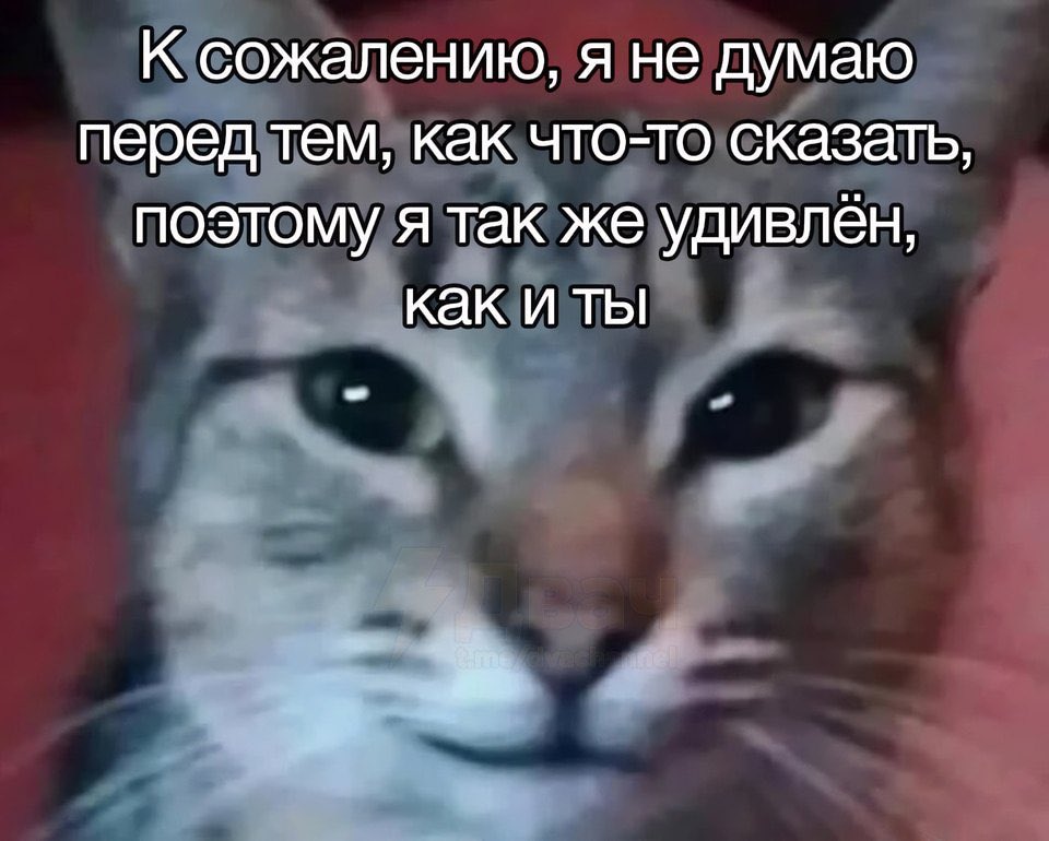 07_everything_'s tweet photo. #меми #мемы https://t.co/SafxuotVMu