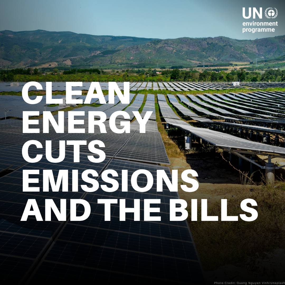 UN Environment Programme tweet media