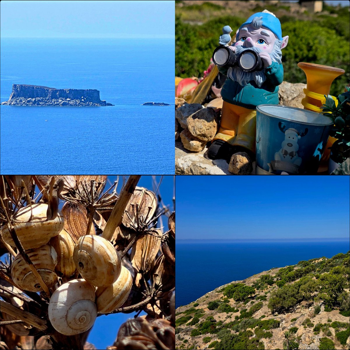 k_pawlowska's tweet photo. #GoodMorning & have a colorful #Sunday 😊

#19_JulyVacation2026
#MalteseHoliday 🇲🇹 
#DingliCliffs 

The cliffs are known by locals for being the place where the sky and sea meet as it’s the highest point on the Maltese Islands, 253 metres above sea level. It offers stunning views of the Mediterranean Sea & the tiny uninhabited island named #Filfla.

And #SongOfTheDay is: https://t.co/xTfXJwj25s

#Summer2026 #EnjoyLife #Travel