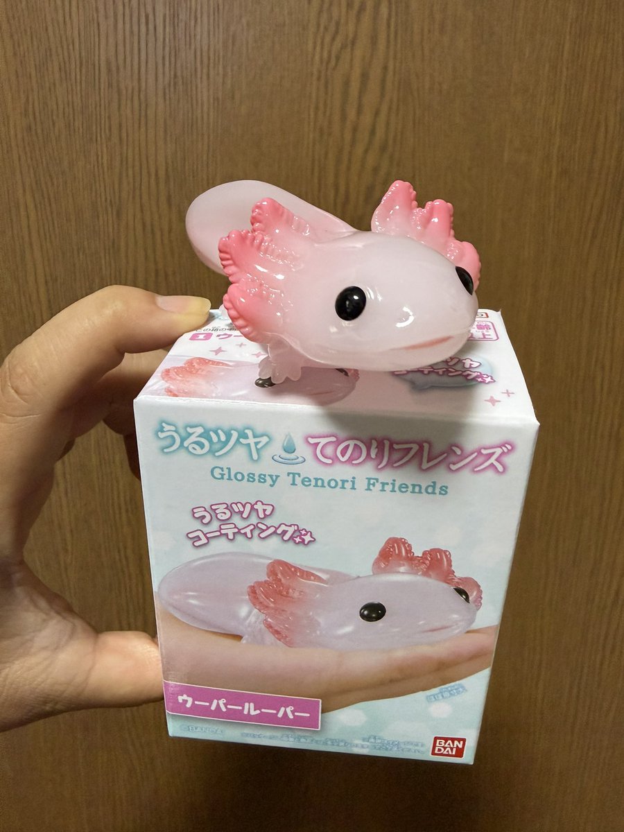 あるちょ tweet media