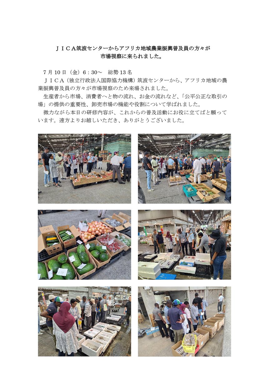 shijyo_mie's tweet photo. ＪＩＣＡ筑波センターから農業振興普及員の方々が市場視察に来られました。
下記リンク先でご覧ください。
https://t.co/THmJ7mhvPQ

三重県地方卸売市場ホームページ
https://t.co/kVZ8SSfRYH
#市場見学　＃研修会　＃活動報告　＃卸売市場 https://t.co/MxuNnkeyaX