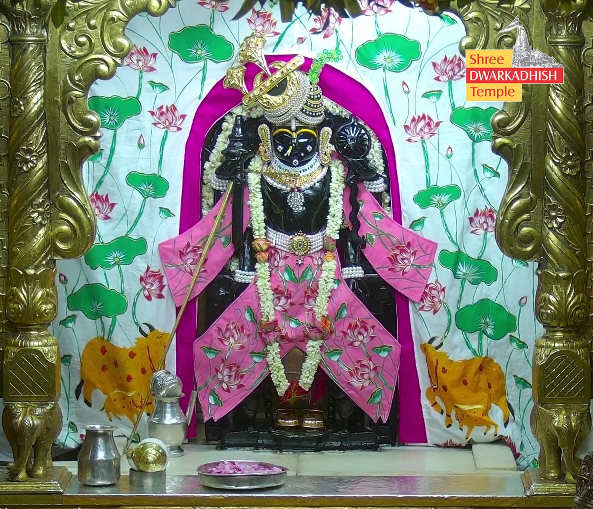 DwarkaOfficial's tweet photo. राजाधिराज द्वारकाधीश जी के श्रृंगार आरती दर्शन🙏🏻
श्री द्वारकाधीश मंदिर द्वारका,गुजरात
दिनांक :- 13/07/2026 सोमवार            

#Dwarka #shringararti
#ShridwarikadhishmandirOfficial https://t.co/DMJT2bSWGN